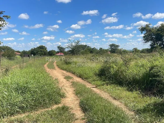 Residential Stand for Sale in Lochview, Bulawayo
