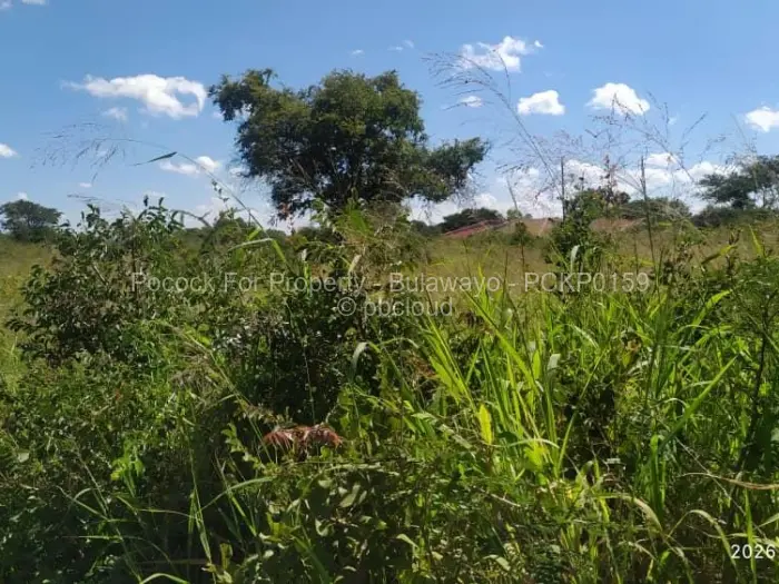 Residential Stand for Sale in Lochview, Bulawayo