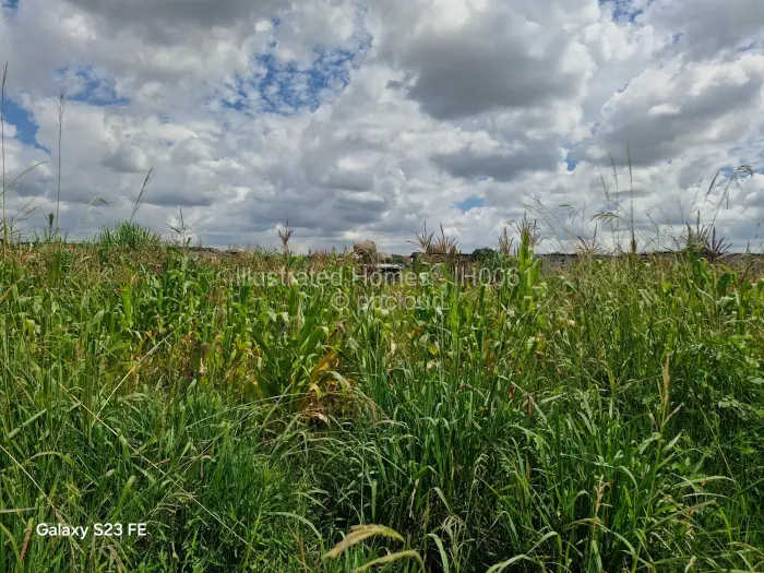 Residential Stand for Sale in Chitungwiza, Chitungwiza