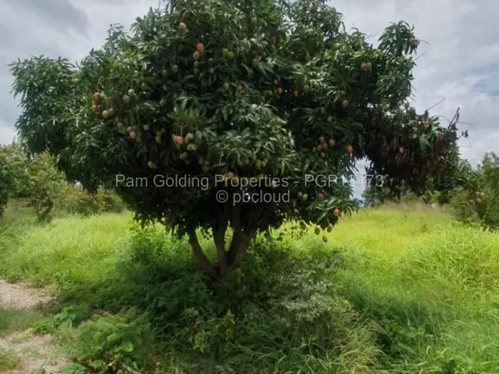 3 Bedroom House for Sale in Gweru CBD, Gweru