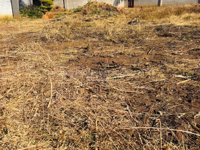 Residential Stand for Sale in Borrowdale Brooke, Harare