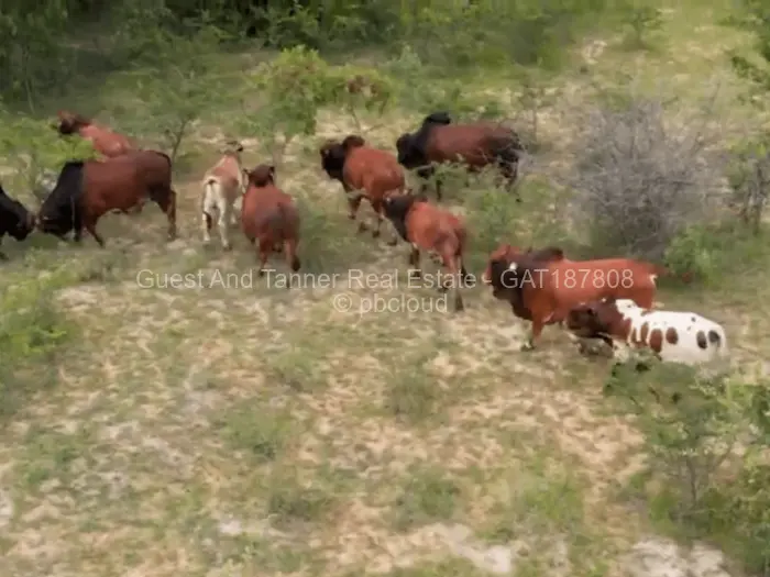 Farm/Plot for Sale in Figtree, Figtree