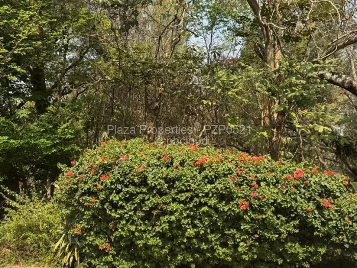 5 Bedroom House for Sale in Glen Lorne, Harare