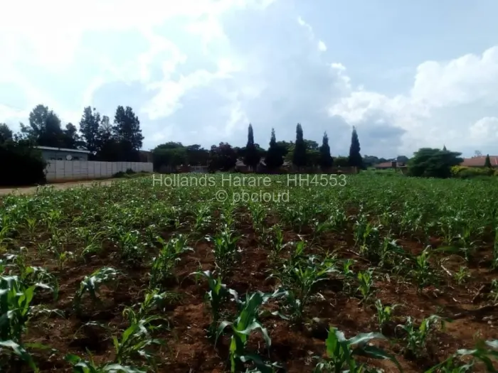 Residential Stand for Sale in Norton, Norton