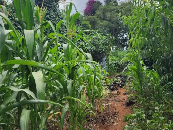 3 Bedroom House for Sale in Mabelreign, Harare