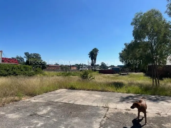 Warehouse/Industrial for Sale in Kelvin West, Bulawayo