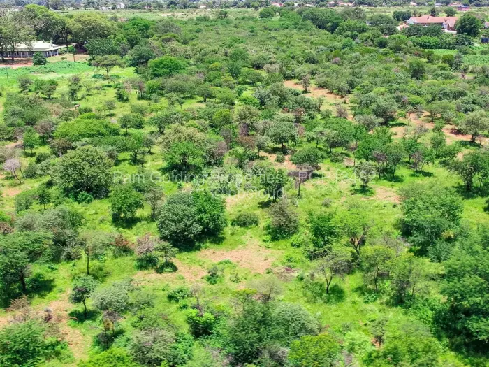 Residential Stand for Sale in Queens Park East, Bulawayo