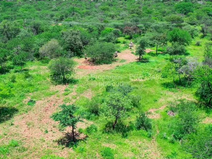 Residential Stand for Sale in Queens Park East, Bulawayo