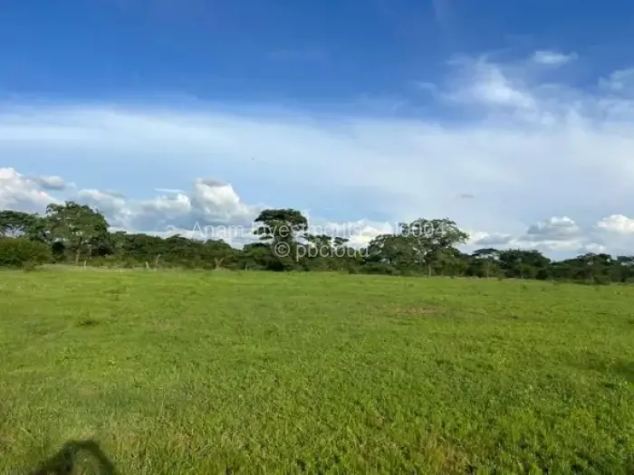 Farm/Plot for Sale in Chegutu, Chegutu