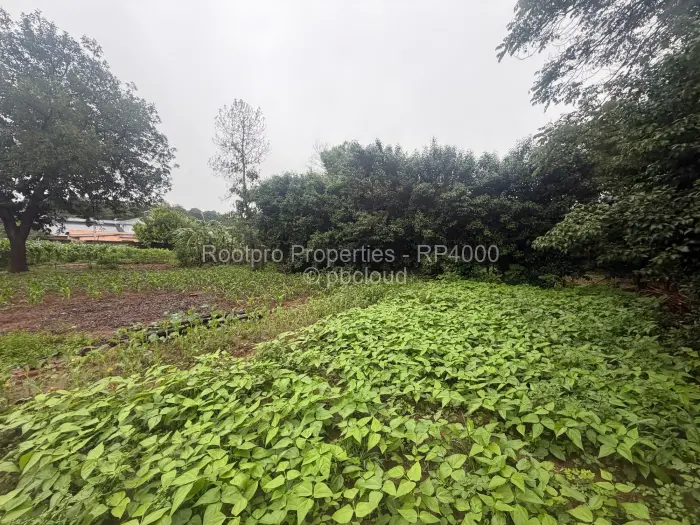 6 Bedroom House for Sale in Borrowdale, Harare