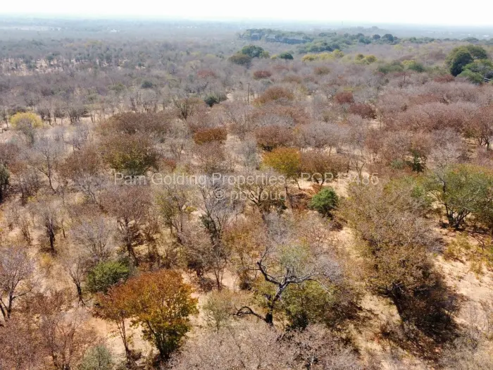 Commercial Stand for Sale in Victoria Falls, Victoria Falls