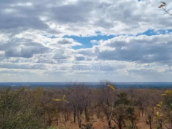 Commercial Stand for Sale in Victoria Falls, Victoria Falls