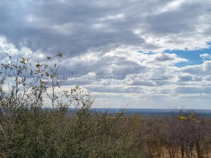 Commercial Stand for Sale in Victoria Falls, Victoria Falls