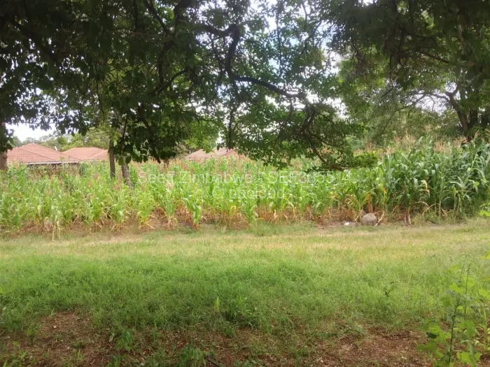 Residential Stand for Sale in Greendale, Harare