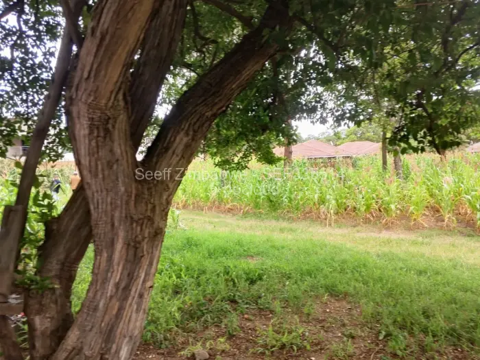 Residential Stand for Sale in Greendale, Harare