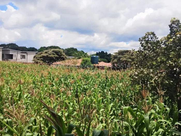 Residential Stand for Sale in Greendale, Harare