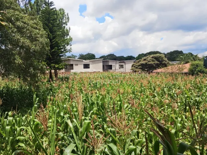 Residential Stand for Sale in Greendale, Harare