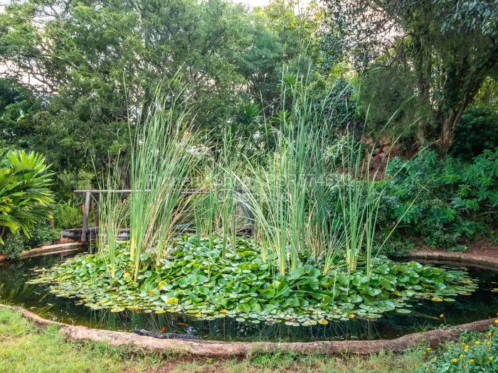 Farm/Plot for Sale in Douglasdale, Bulawayo