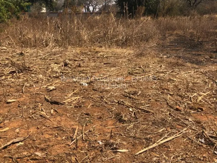 2 Bedroom House for Sale in Buena Vista, Bulawayo