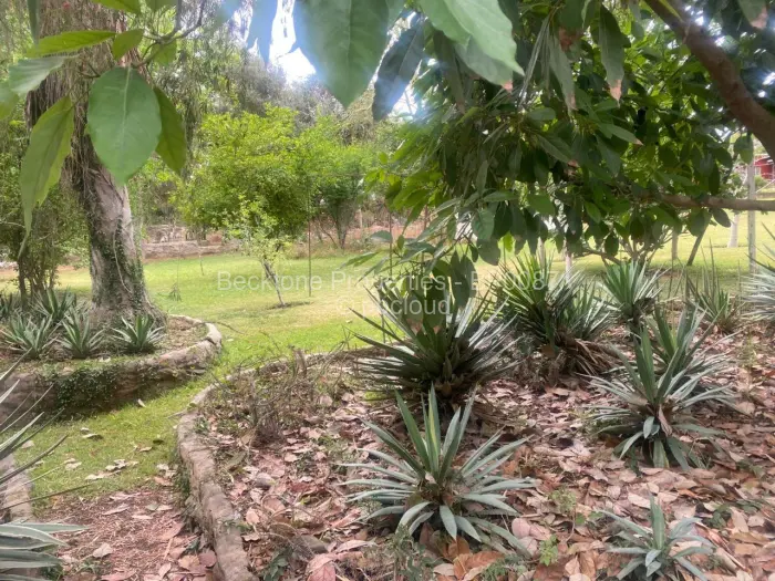 5 Bedroom House for Sale in Glengarry, Bulawayo