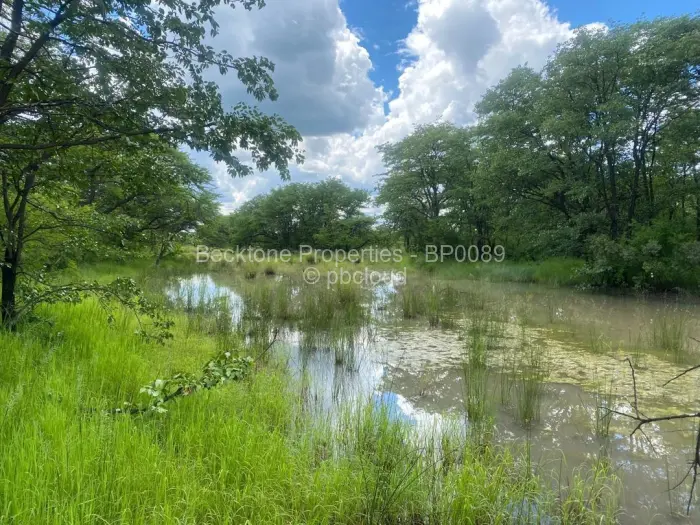 Farm/Plot for Sale in Bubi, Bubi