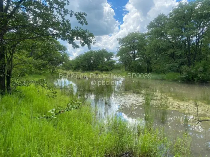Farm/Plot for Sale in Bubi, Bubi