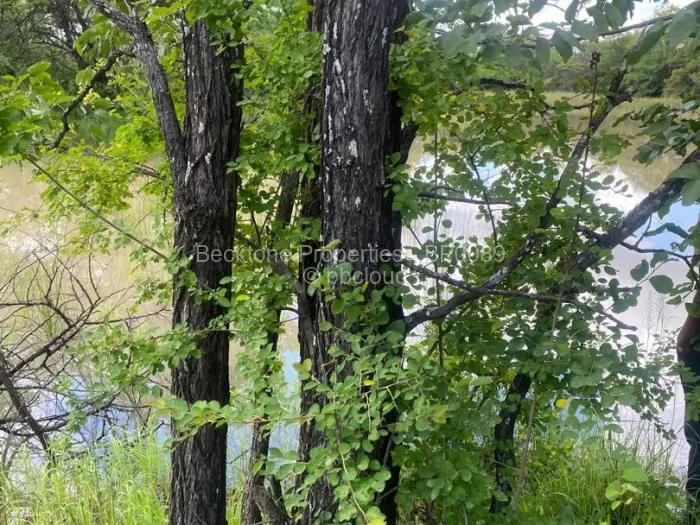 Farm/Plot for Sale in Bubi, Bubi