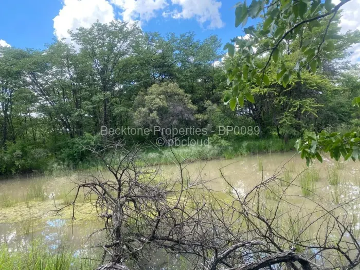 Farm/Plot for Sale in Bubi, Bubi