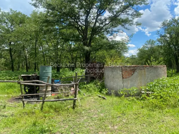 Farm/Plot for Sale in Bubi, Bubi