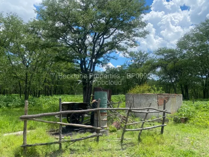 Farm/Plot for Sale in Bubi, Bubi