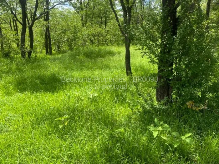 Farm/Plot for Sale in Bubi, Bubi