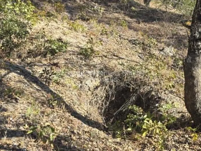 Farm/Plot for Sale in Gweru East, Gweru