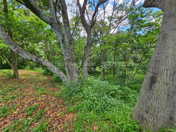 Residential Stand for Sale in Umwinsidale, Harare