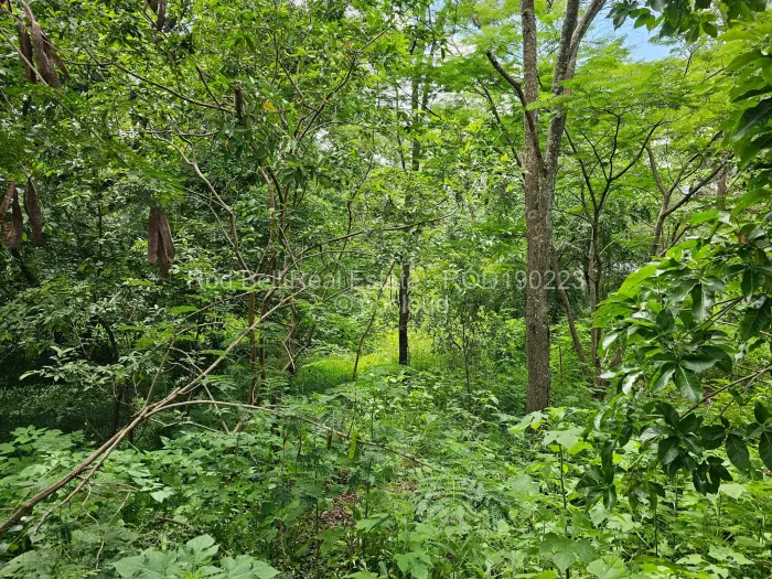 Residential Stand for Sale in Umwinsidale, Harare