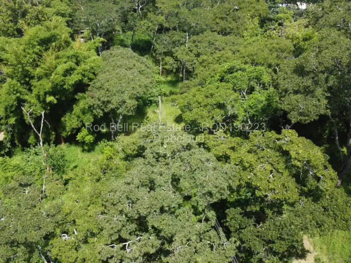 Residential Stand for Sale in Umwinsidale, Harare