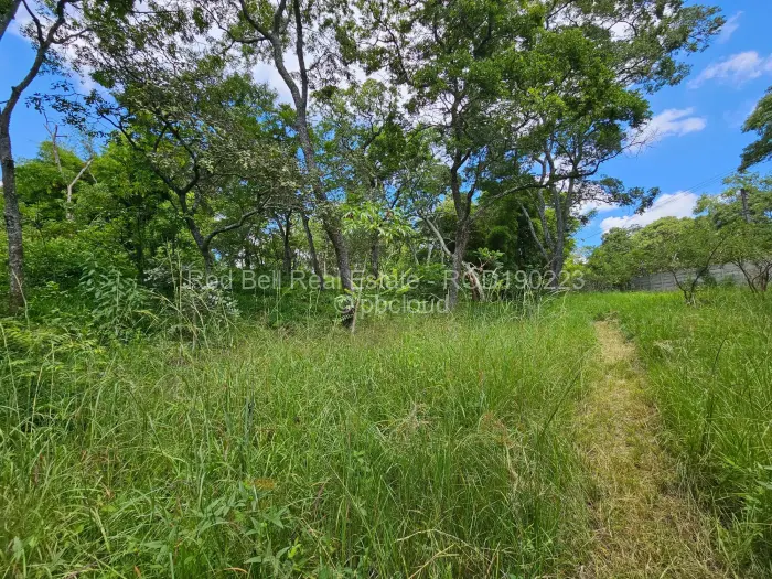 Residential Stand for Sale in Umwinsidale, Harare