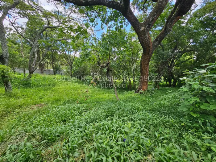 Residential Stand for Sale in Umwinsidale, Harare