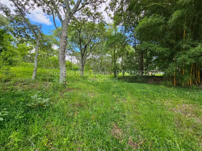 Residential Stand for Sale in Umwinsidale, Harare