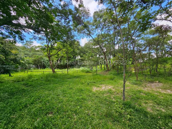 Residential Stand for Sale in Umwinsidale, Harare