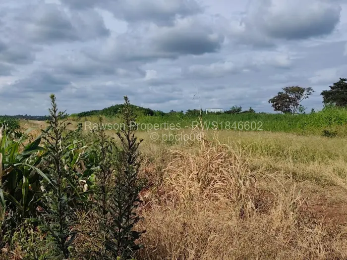 Commercial Stand for Sale in Beatrice, Beatrice