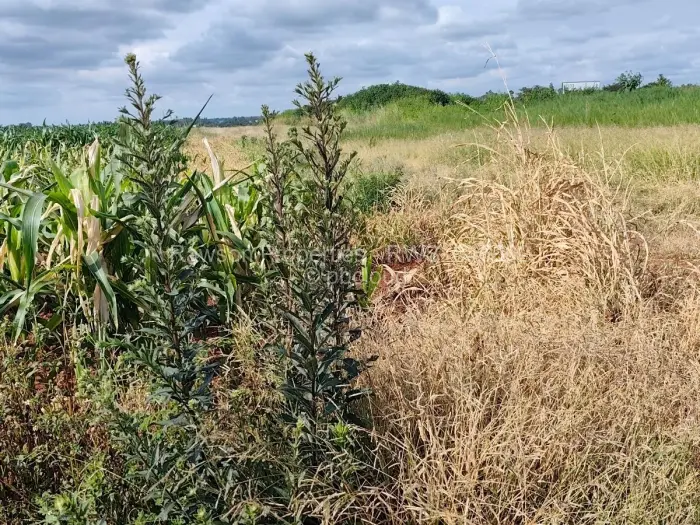 Commercial Stand for Sale in Beatrice, Beatrice