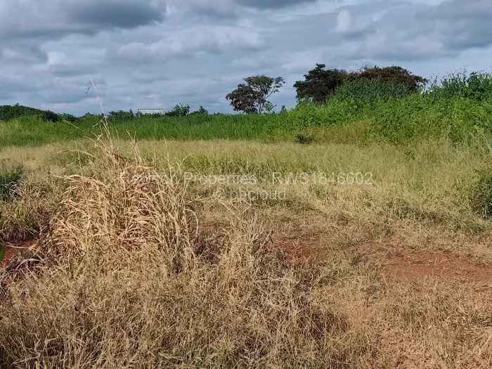 Commercial Stand for Sale in Beatrice, Beatrice