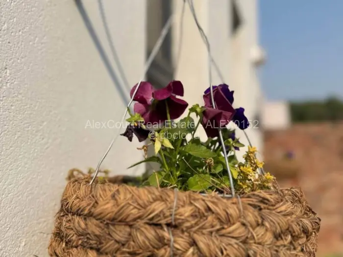 Townhouse/Cluster to Rent in Greendale, Harare