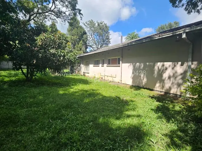 Commercial Stand for Sale in The Grange, Harare