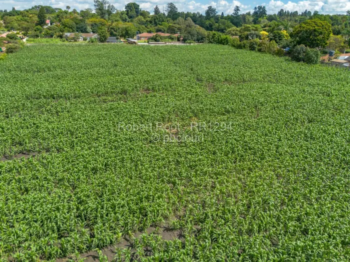 Residential Stand for Sale in Greendale, Harare