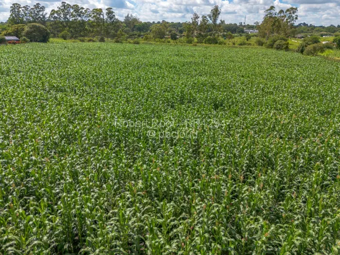 Residential Stand for Sale in Greendale, Harare