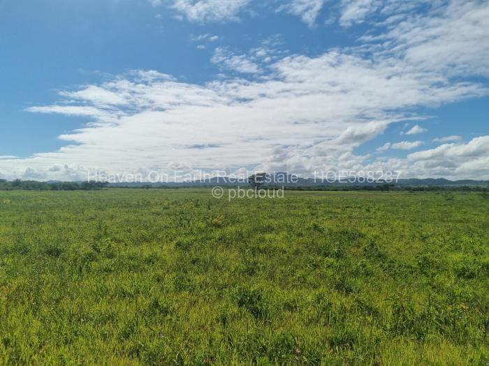 Farm/Plot for Sale in Masvingo, Masvingo