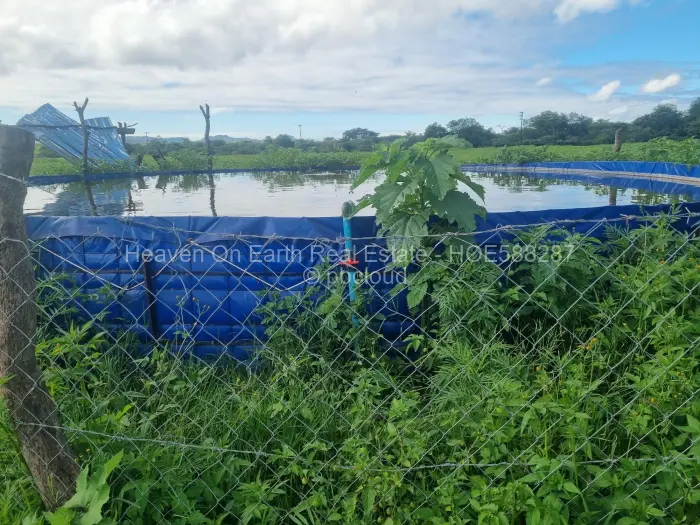 Farm/Plot for Sale in Masvingo, Masvingo