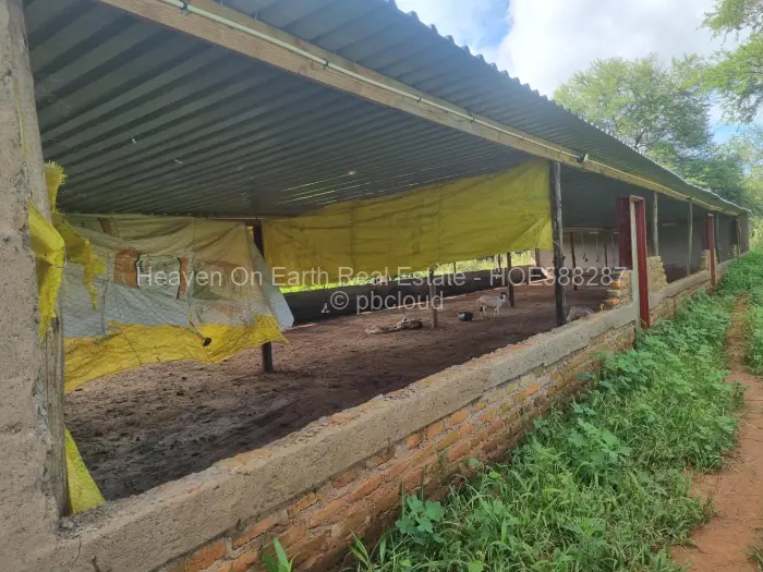 Farm/Plot for Sale in Masvingo, Masvingo