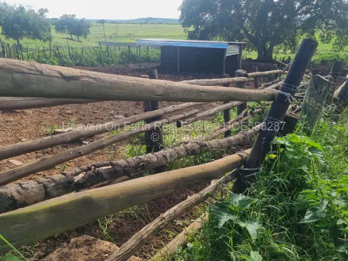 Farm/Plot for Sale in Masvingo, Masvingo